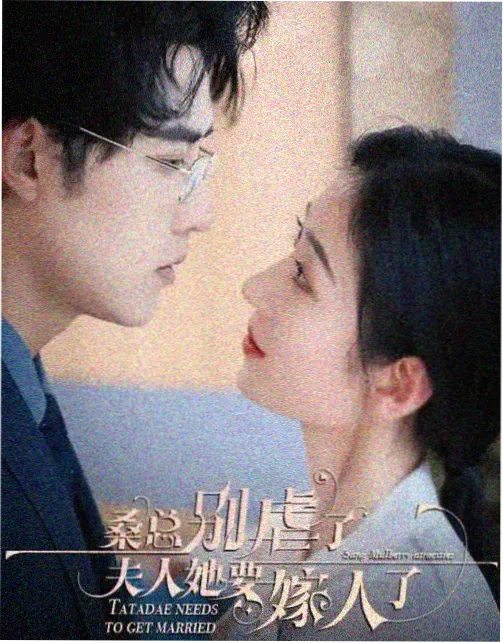 完美世界动漫移动端省流版全集完整版