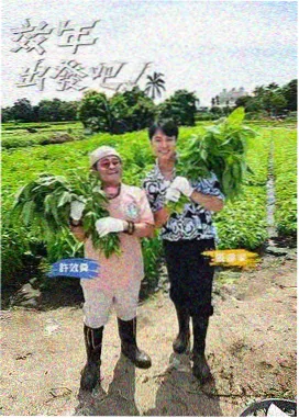 完美世界动漫推荐缩略图